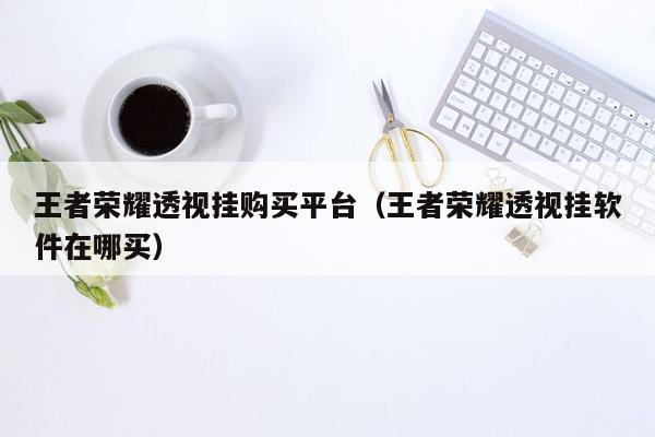 哪里可以买到王者荣耀地图视角挂的那个