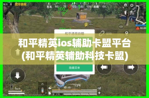 观察和平精英iOS辅助卡盟平台平台介绍