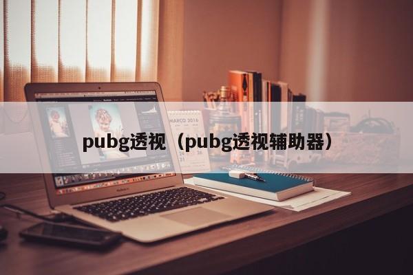 《绝地求生透视》pubg透视辅助器对应的知识点